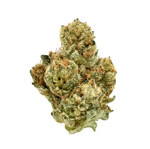 Alien OG · Ultra Exotic Smalls (I) cannabis flower